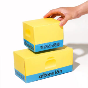 Food Packaging Box Set