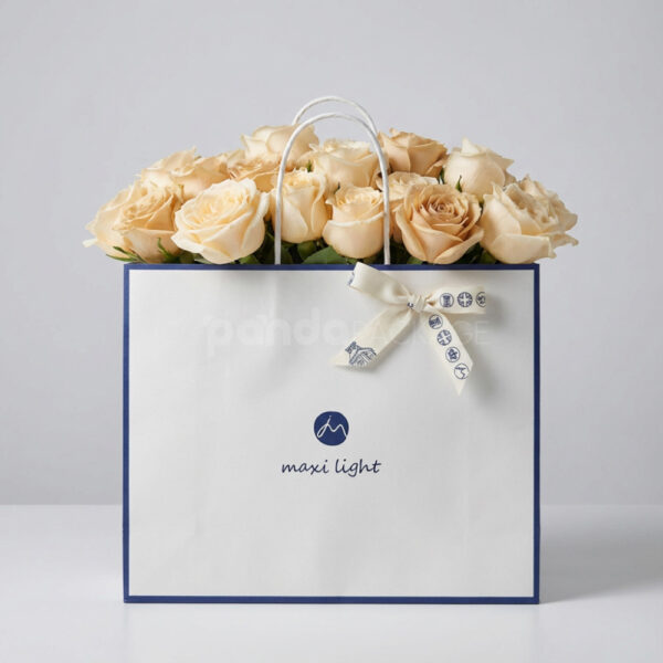 Elegant Ivory Gift Bag with Blue Accents and Ribbon Detail