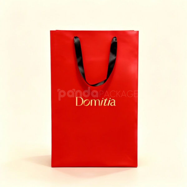 Matte Red Gift Bag with Black Rope Handles