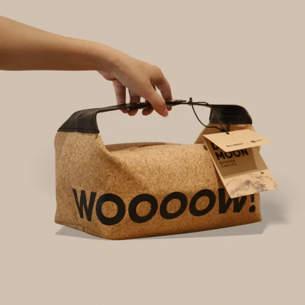 Kraft Paper Gift Bag with Handle and Magnetic Lid