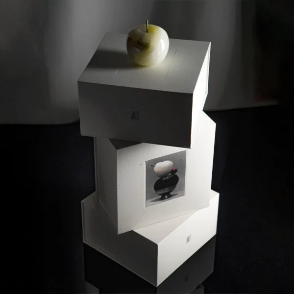Art-Inspired Rigid Gift Box with Apple Illustration and Custom Insert