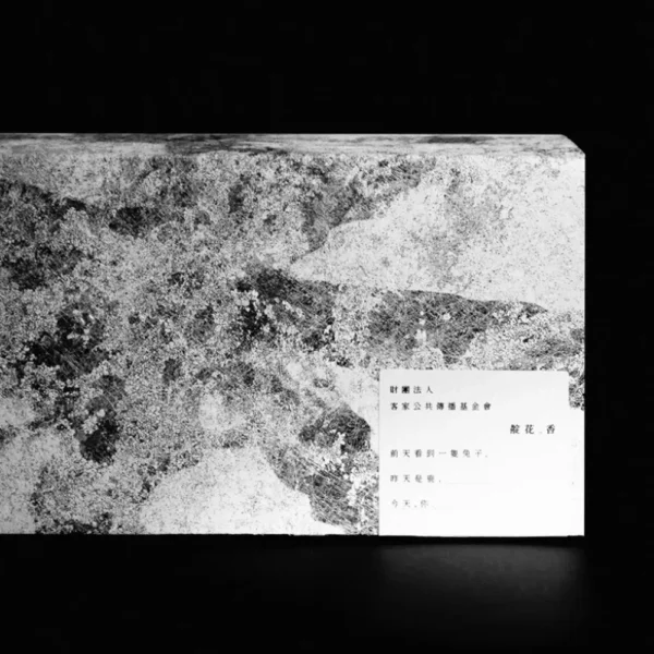 Chinese Ink Wash-Inspired Rigid Gift Box with Minimalist Typography