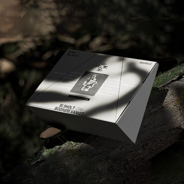 Modern Rectangular Box with Bold Color Labels for Tea or Herbal Blends
