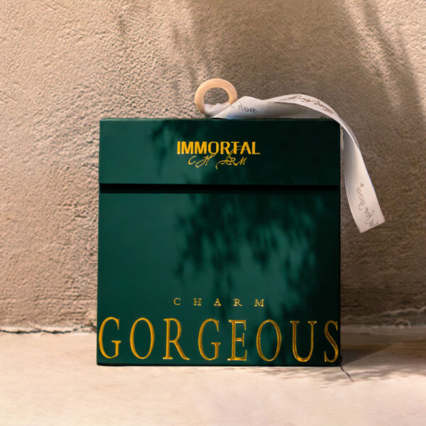 Premium Rigid Packaging Box with Ribbon Handle Design