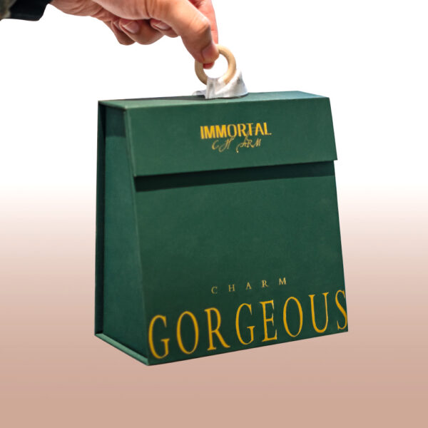 Premium Rigid Packaging Box with Ribbon Handle Design