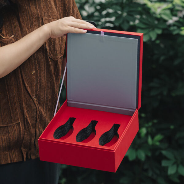 Red Rigid Beauty Gift Box with Mirror & Insert