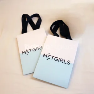 Paper Shopping Bag