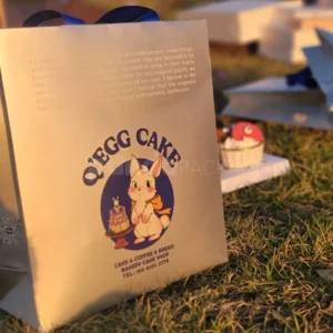 Paper Gift Bag
