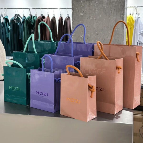 Luxury Laminated Shopping Bag with Glossy Finish and Rope Handle