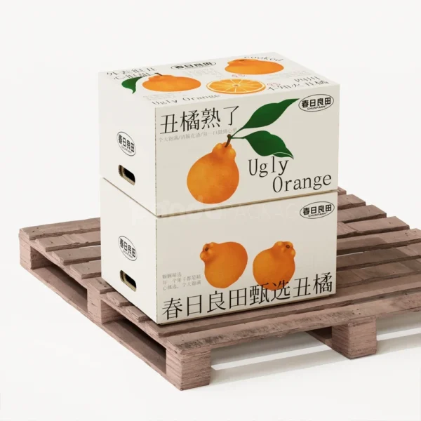 Modern White Citrus Fruit Packaging Box with Illustrated Info Panel
