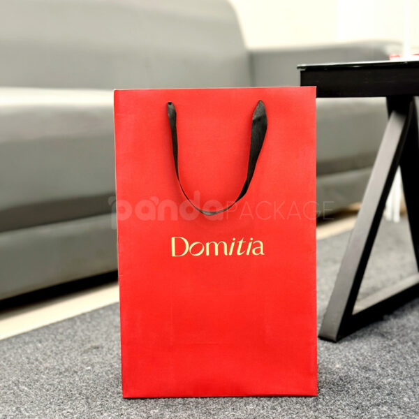 Matte Red Gift Bag with Black Rope Handles