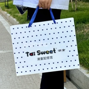 Polka Dot Printed Paper Bag
