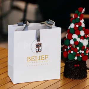 Luxury White Gift Bag