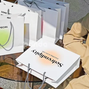 Gift Bag with Satin Handles