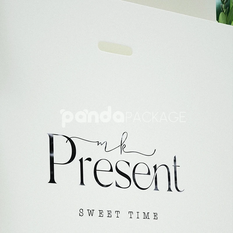 Elegant White Gift Bag
