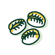 mm-ast-icon-1252