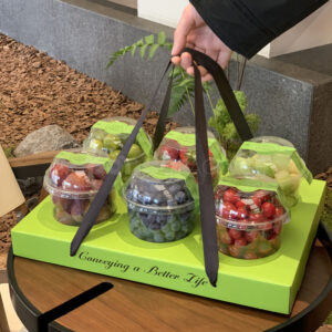 Emerald Green Fruit Box with Ribbon Handle