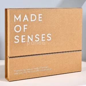 Eco-Friendly Kraft Corrugated Box with Dual Flip Opening