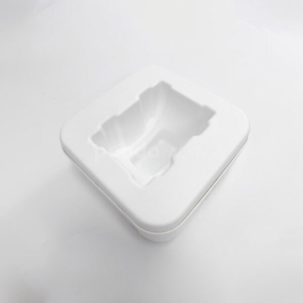 Sustainable Molded Pulp Insert for Electronics or Skincare Packaging