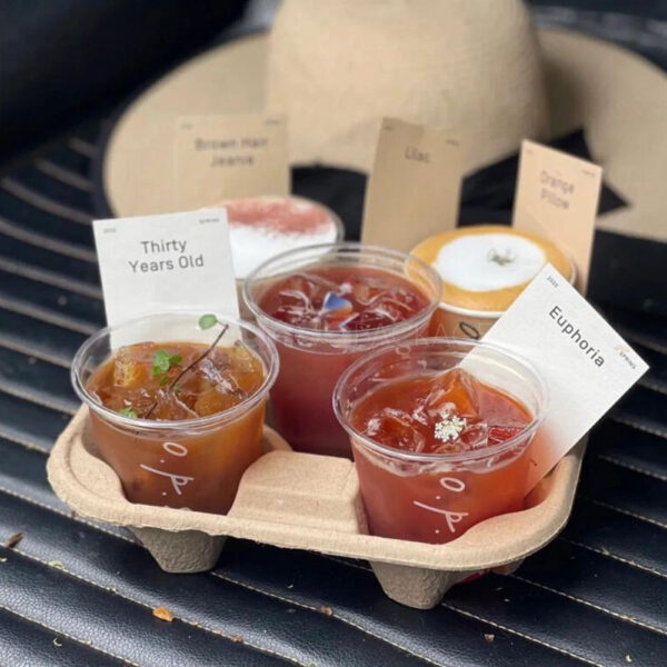 4-Slot Kraft Pulp Tray for Beverage or Cosmetic Packaging