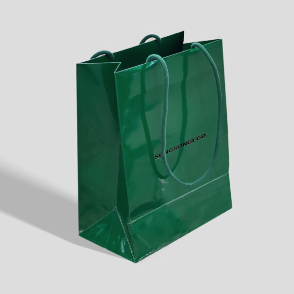 Glossy Green Apparel Shopping Bag with Sturdy Rope Handles