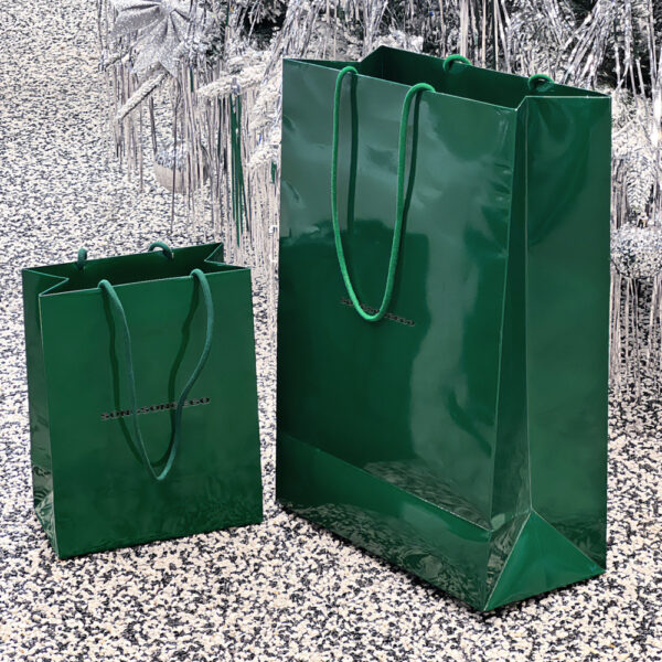 Glossy Green Apparel Shopping Bag with Sturdy Rope Handles