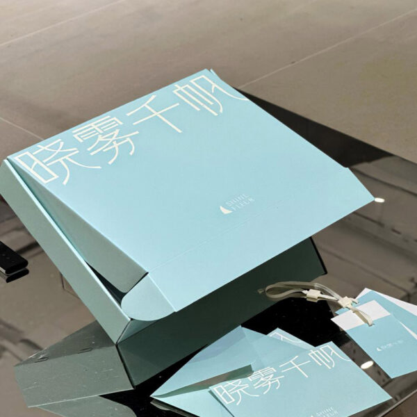 Custom Green Apparel Mailer Box with Stylish Logo Print