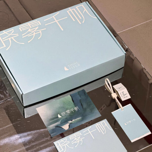 Custom Green Apparel Mailer Box with Stylish Logo Print