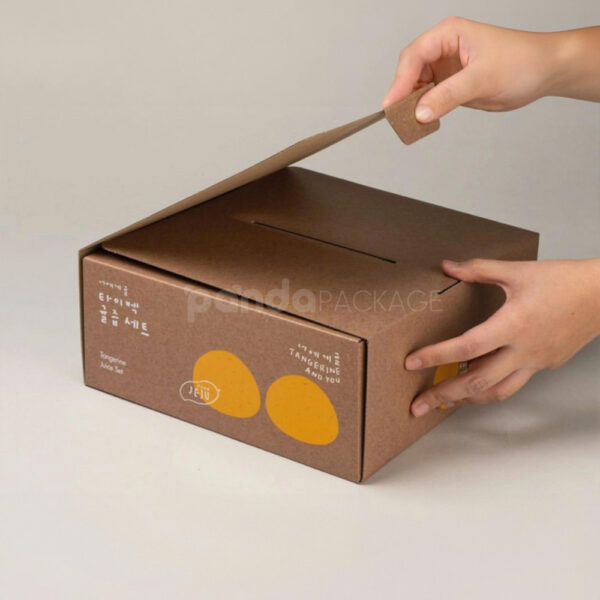 Eco-Friendly Shipping Carton Box with Handle for Fruits