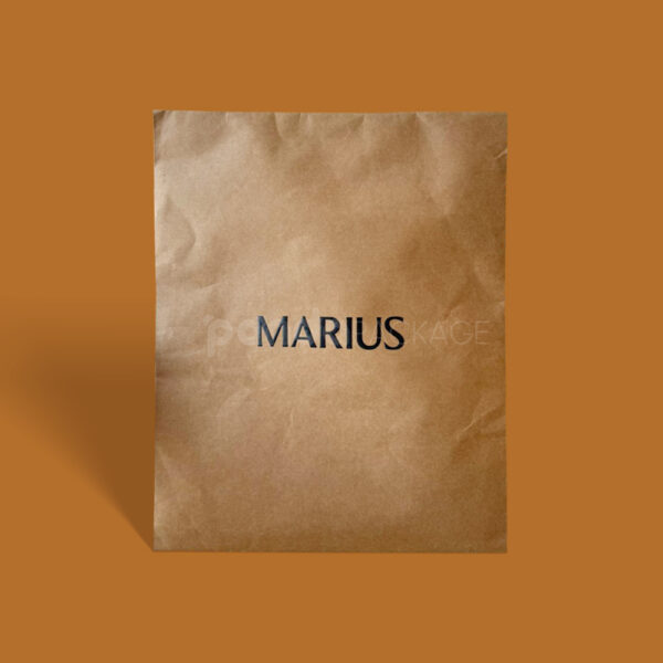 Custom Kraft Paper Shipping Mailer Bag with Printed Logo