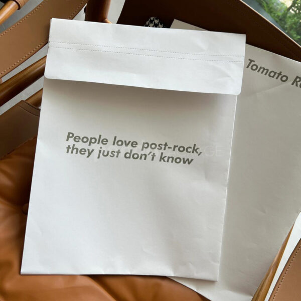Custom Printed Paper Mailer Bags for Retail or Shipping