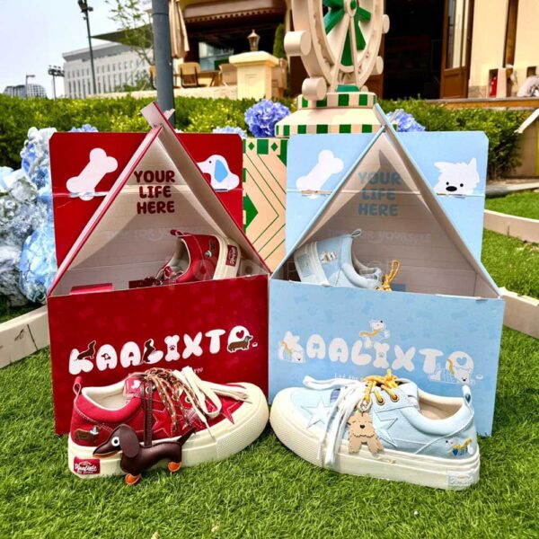 Creative Shoe Packaging Box Designed Like a Cozy Pet House
