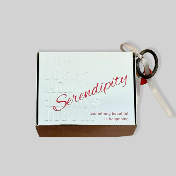 Luxurious Silver Candy Gift Box with Ribbon and Heart Charm