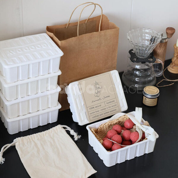 Eco-Friendly White Molded Pulp Box with Secure Lid
