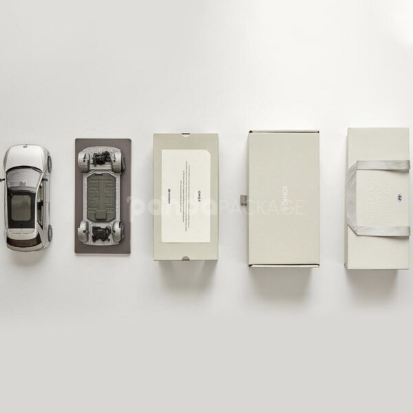 5 Diecast Model Car with Premium Packaging