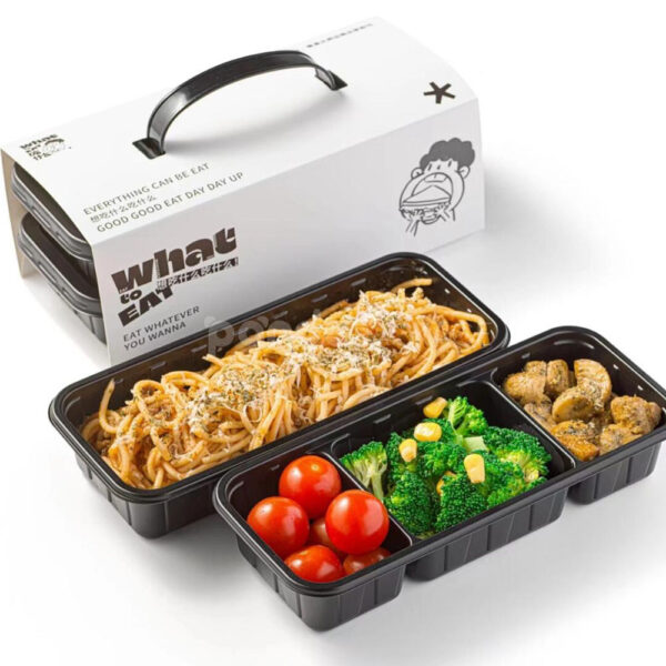 Convenient Takeout Bento Box with Stylish Carrying Package