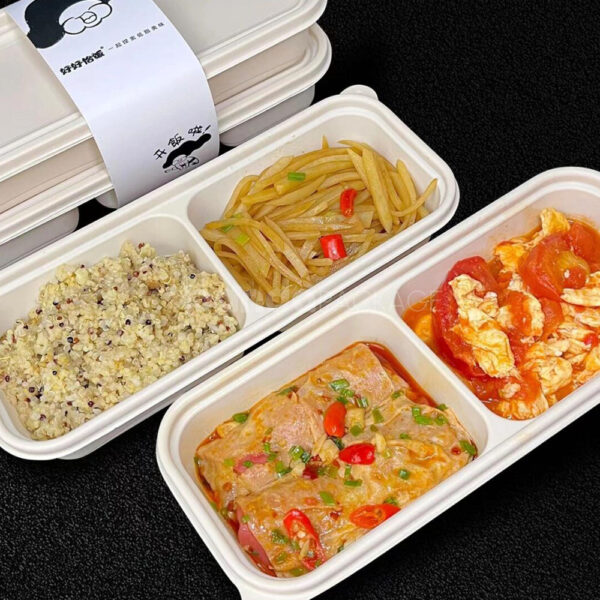 Convenient Takeout Bento Box with Stylish Carrying Package