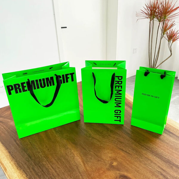 Paperboard Wine Gift Bag with Rope Handles