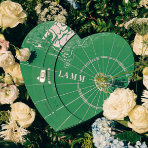 green heart-shaped rigid box for skincare, cosmetics packaging and holiday gifts