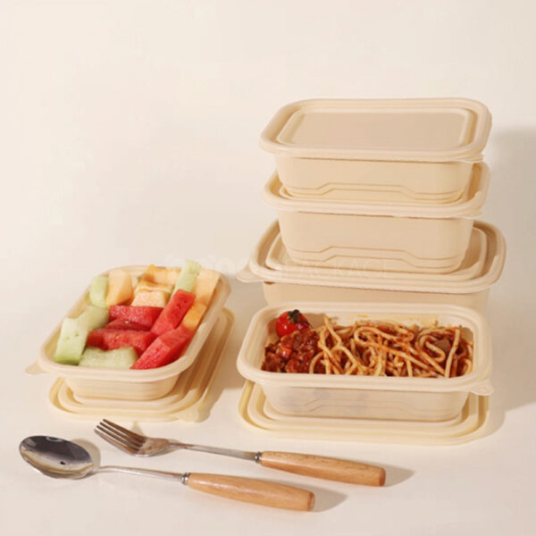 Biodegradable Cornstarch Takeout Food Container with Lid