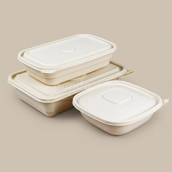 Biodegradable Cornstarch Food Container with Lid for Takeout Packaging