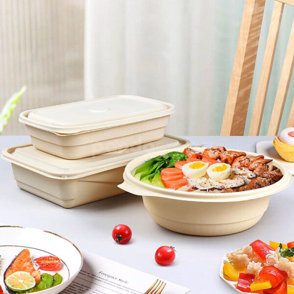 Biodegradable Cornstarch Food Container with Lid for Takeout Packaging