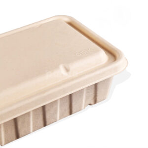 biodegradable straw pulp food container with lid for restaurant takeout packaging
