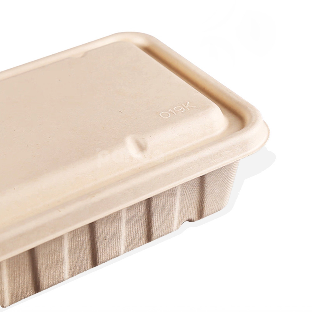 biodegradable straw pulp food container with lid for restaurant takeout packaging