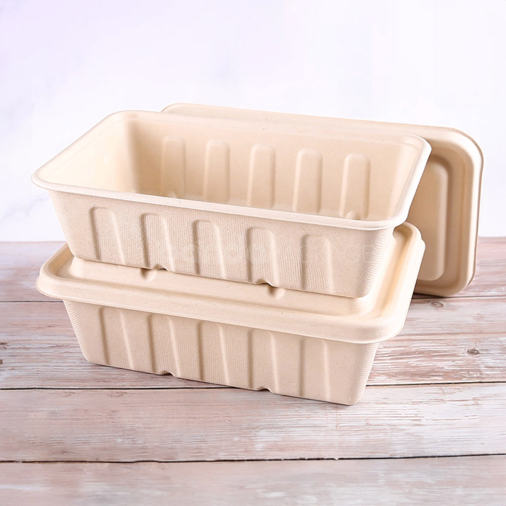 biodegradable straw pulp food container with lid for restaurant takeout packaging