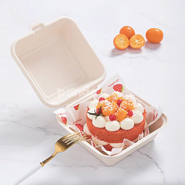 Biodegradable Sugarcane Pulp Food Box for Cake Packaging