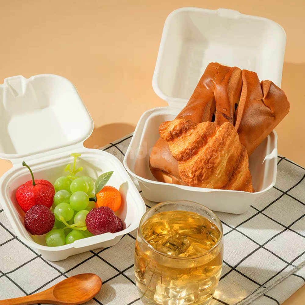 biodegradable sugarcane pulp food box with hinged lid for cake and dessert packaging