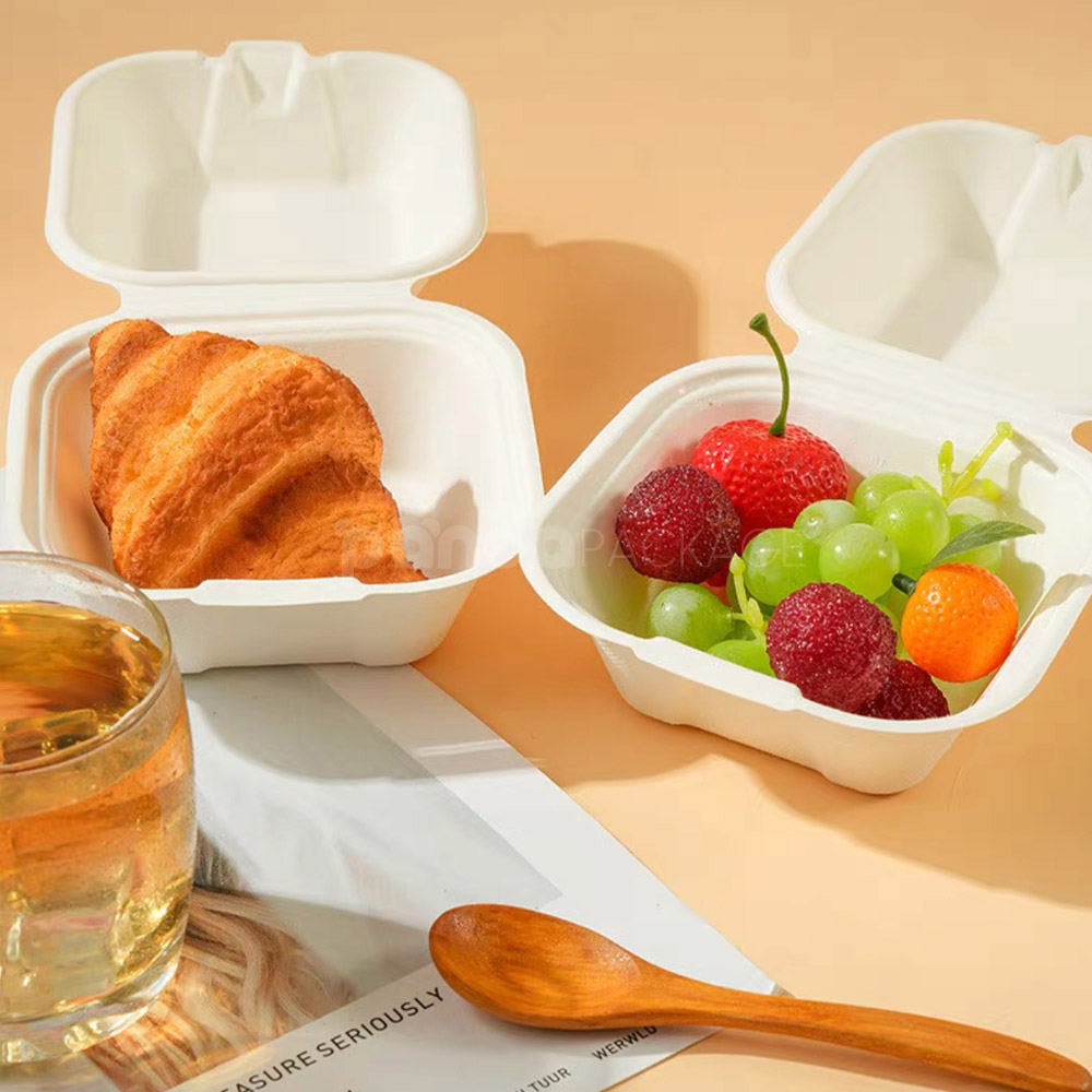 biodegradable sugarcane pulp food box with hinged lid for cake and dessert packaging