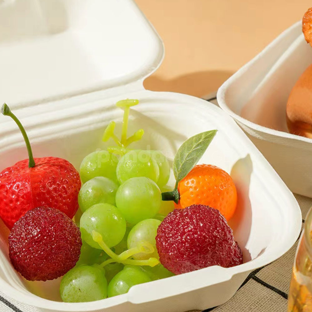 biodegradable sugarcane pulp food box with hinged lid for cake and dessert packaging