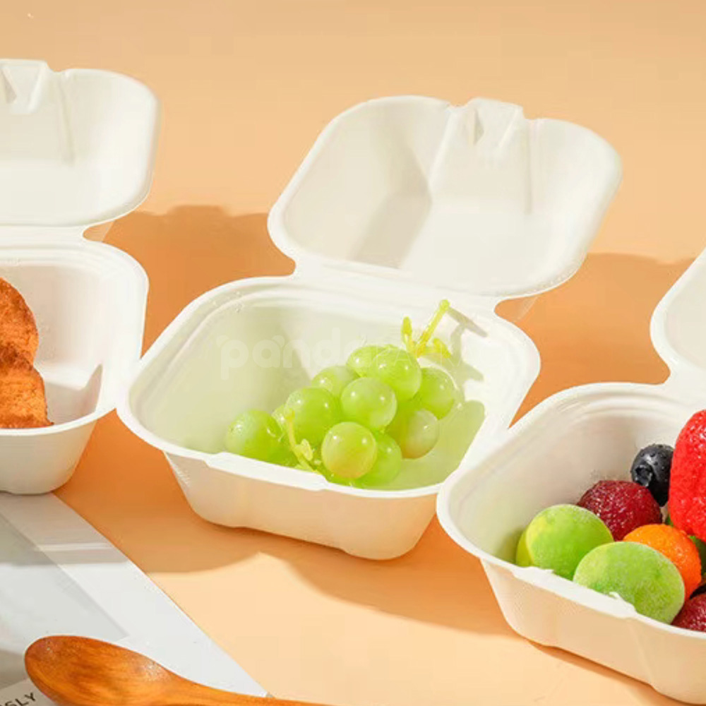biodegradable sugarcane pulp food box with hinged lid for cake and dessert packaging